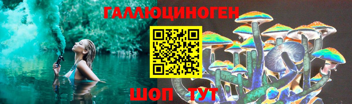 Галлюциногенные грибы Psilocybe Зеленодольск